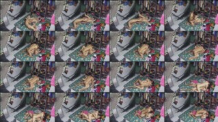 Viral Yandex Pantatku Dijilatin Enak Banget Trending Indo New 2025